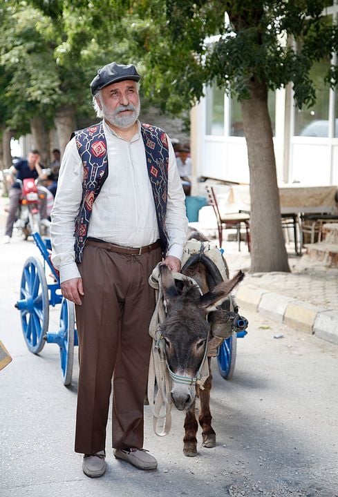 Ya Nasip Ya Kısmet : Fotoğraf