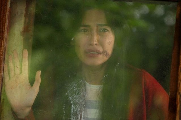 Hayat Şarkısı : Fotoğraf