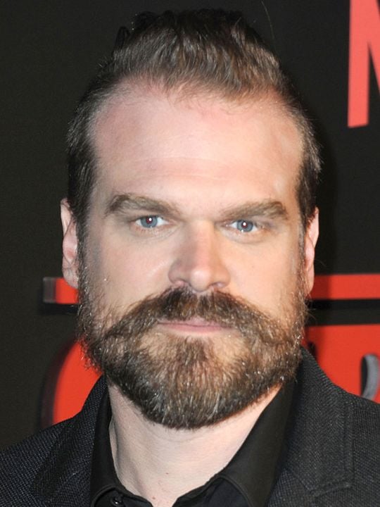 Afiş David Harbour