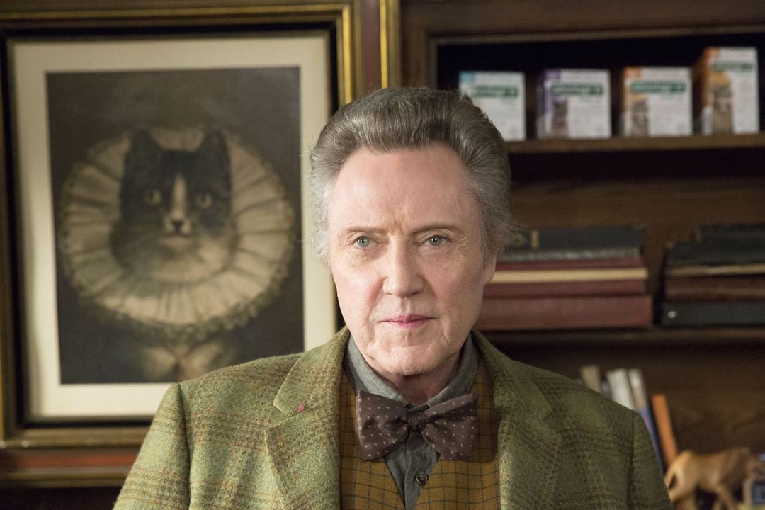 Dokuz Canlı Bay Tüylü : Fotoğraf Christopher Walken