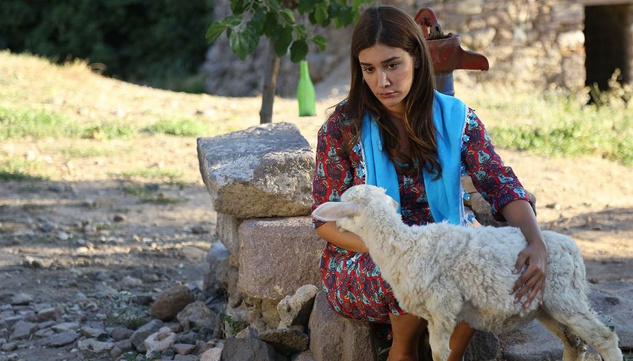 Hayat Sevince Güzel : Fotoğraf