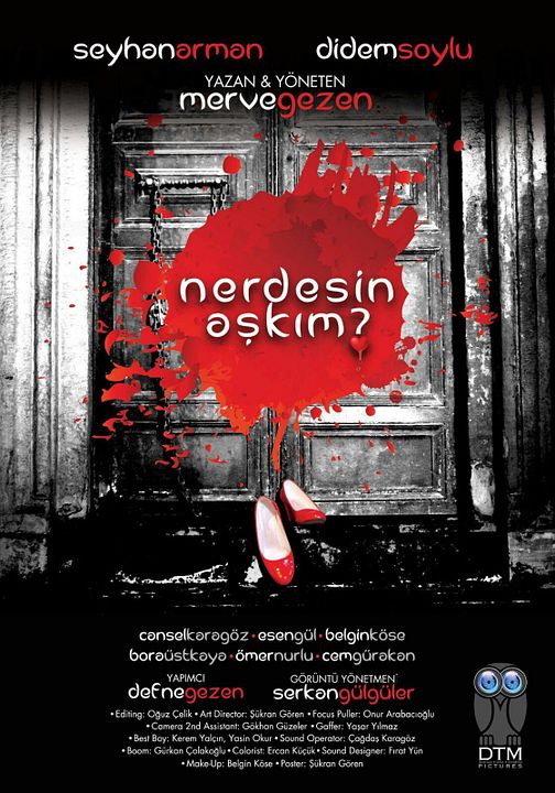 Nerdesin Aşkım : Afiş