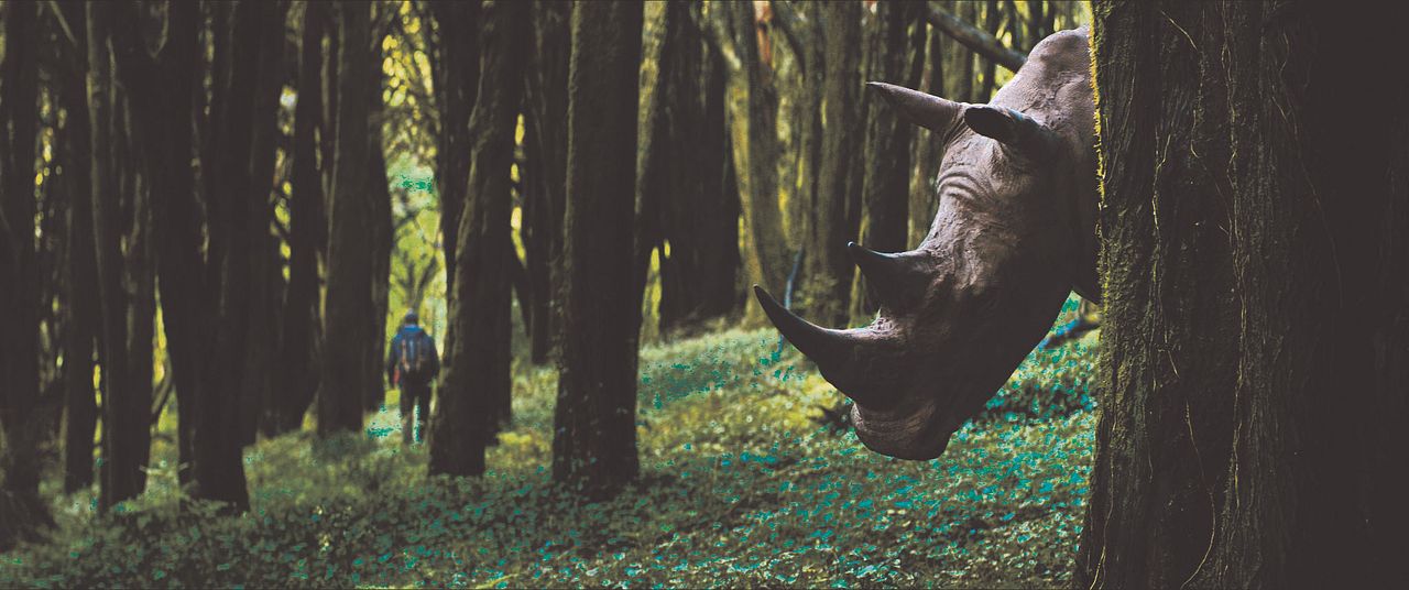 O Ornitólogo : Fotoğraf