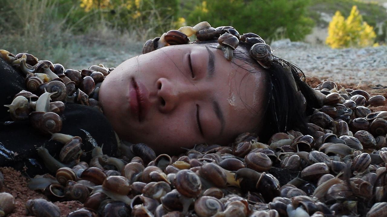 Fotoğraf Hui Chi Chiu