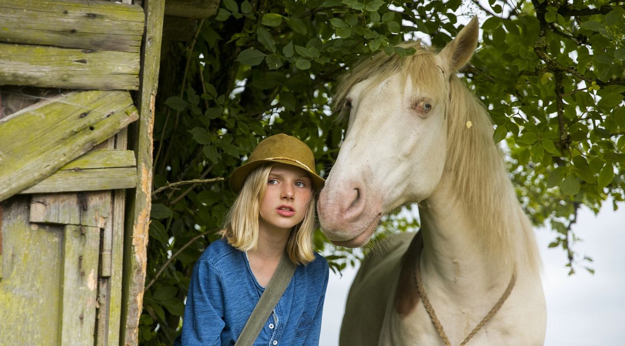 Fotoğraf Jule Hermann