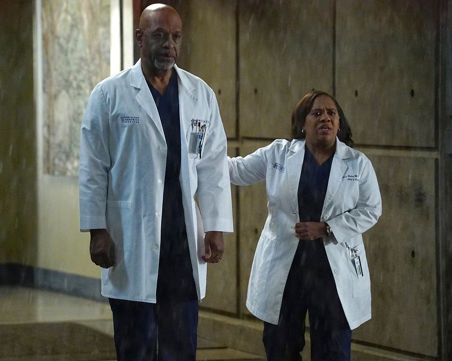 Fotoğraf Chandra Wilson, James Pickens Jr.