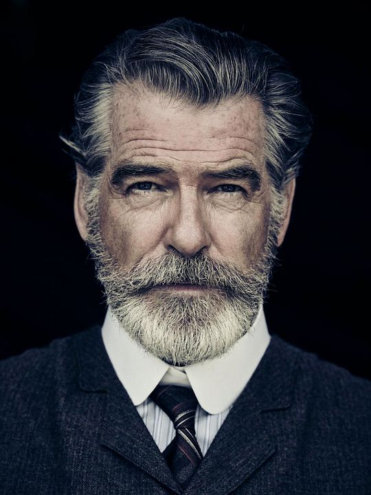 Fotoğraf Pierce Brosnan