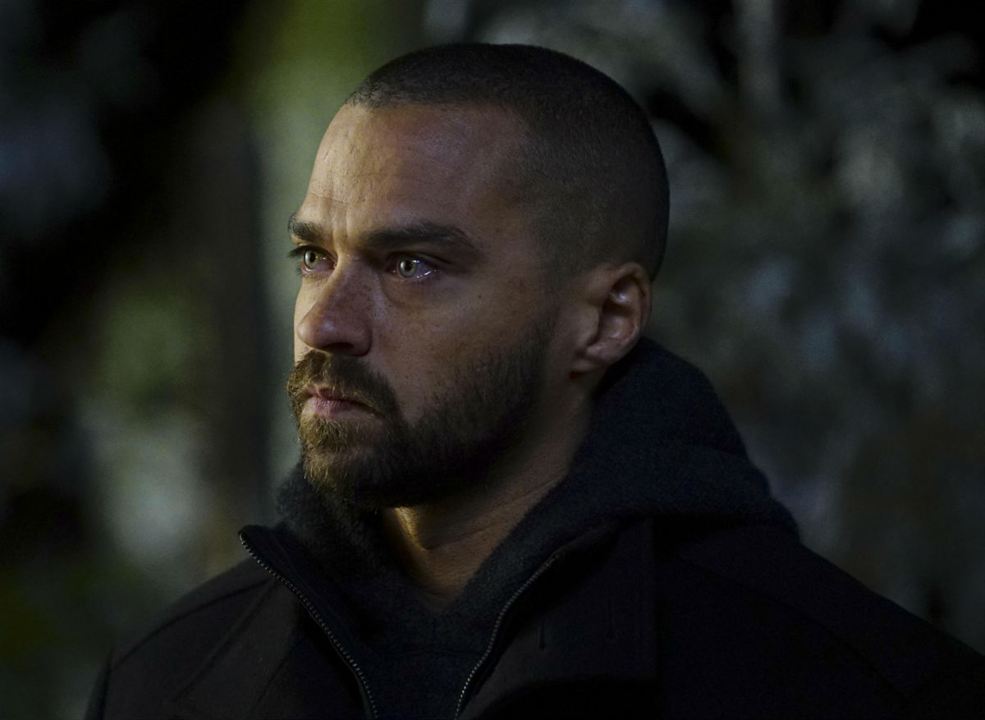 Grey's Anatomy : Fotoğraf Jesse Williams