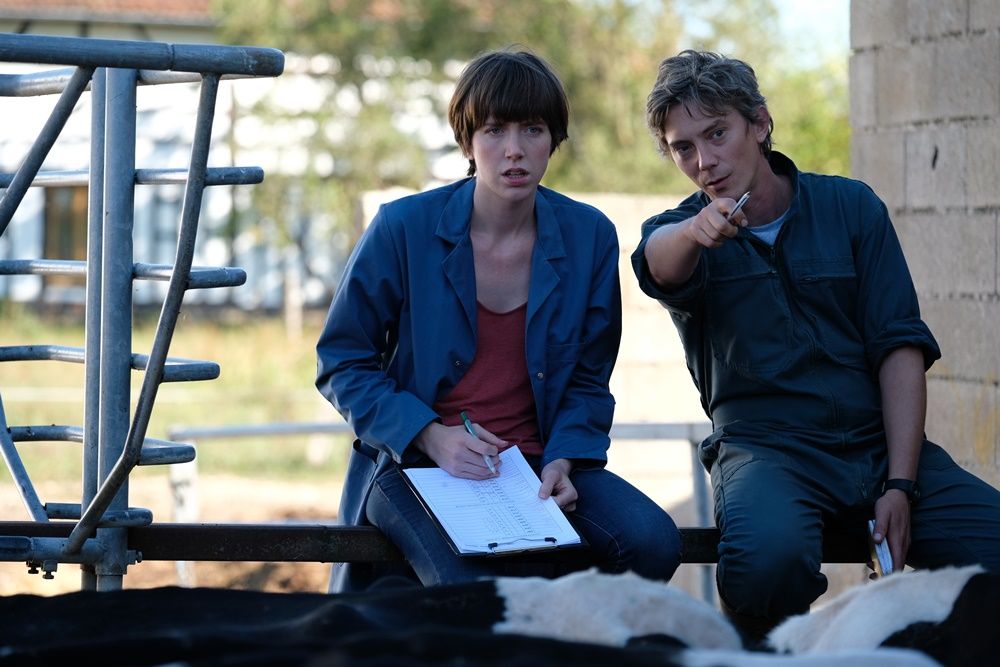 Petit Paysan : Fotoğraf