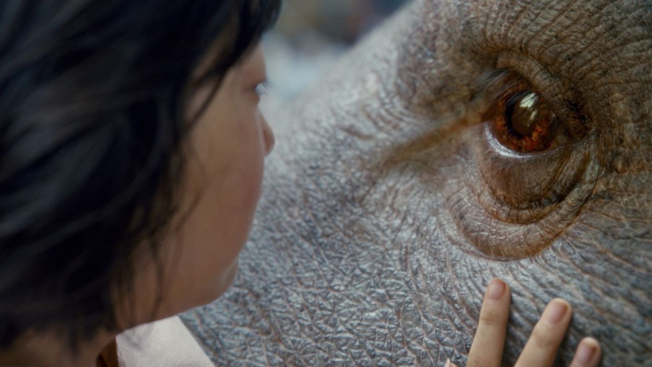 Okja : Fotoğraf