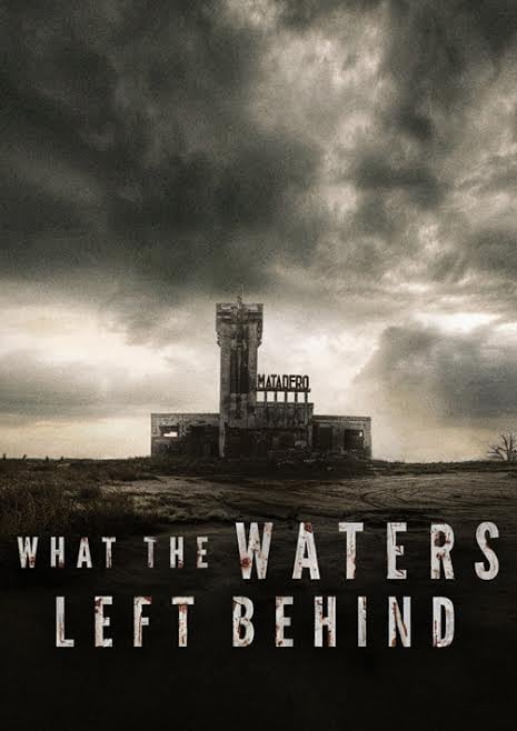 What the Waters Left Behind : Afiş