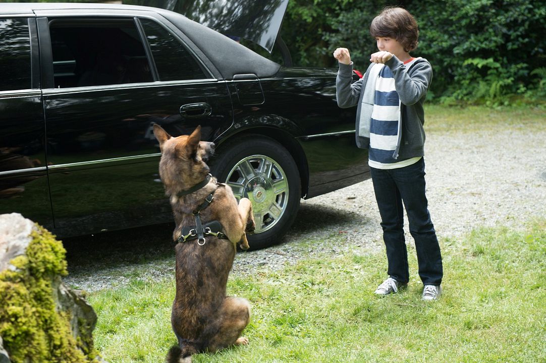 Max 2: White House Hero : Fotoğraf Zane Austin