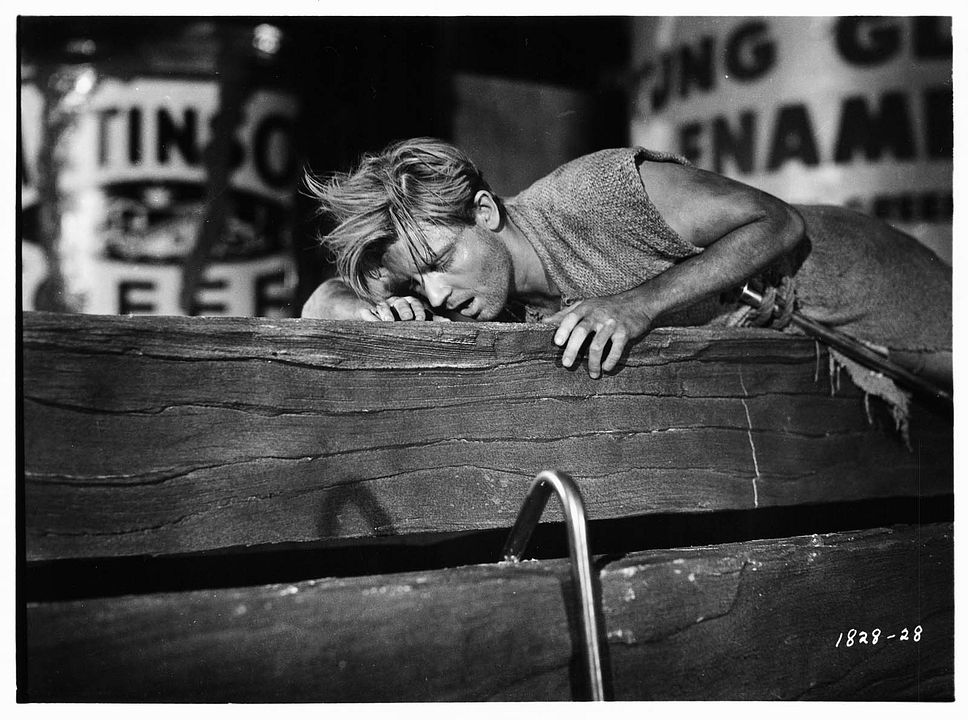 Kendi Kendine Küçülen Adam : Fotoğraf Grant Williams