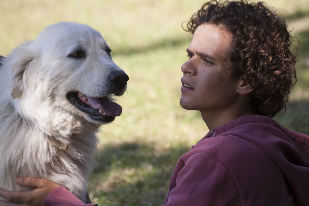 Fotoğraf Brando Pacitto