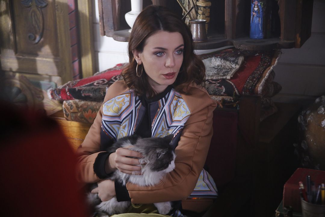 Şevkat Yerimdar : Fotoğraf