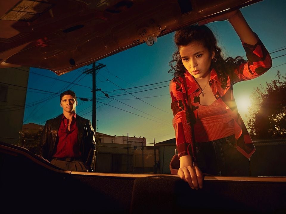 Snowfall : Fotoğraf