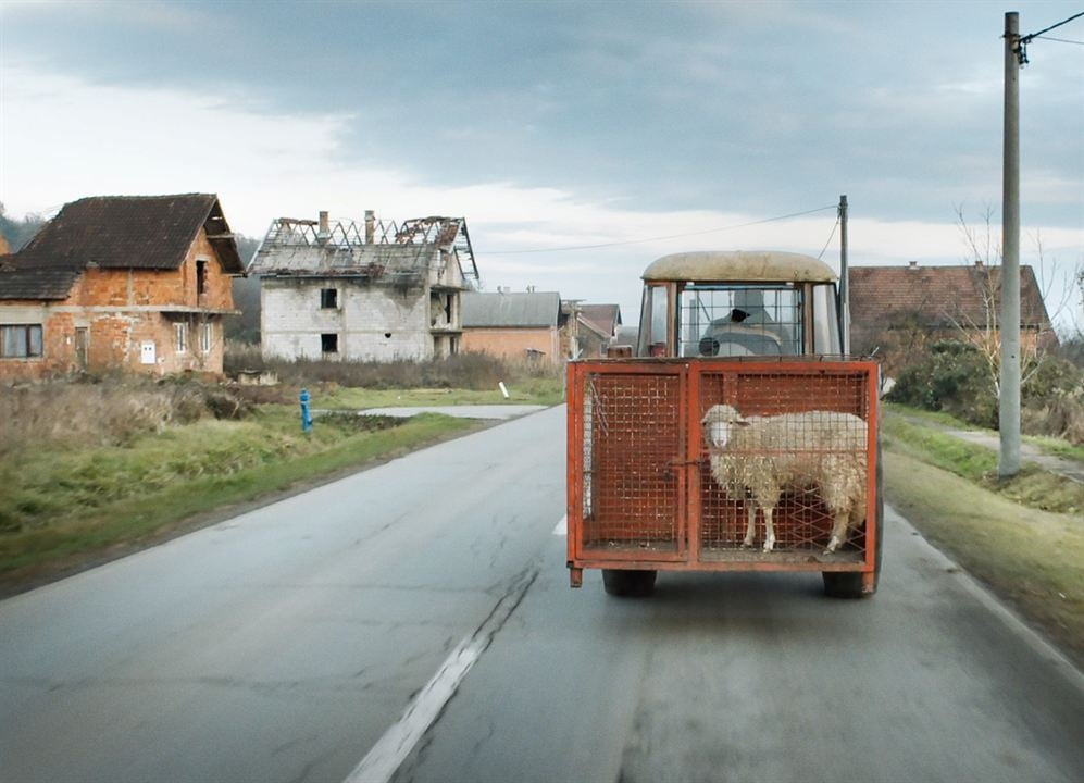 İsimsiz : Fotoğraf