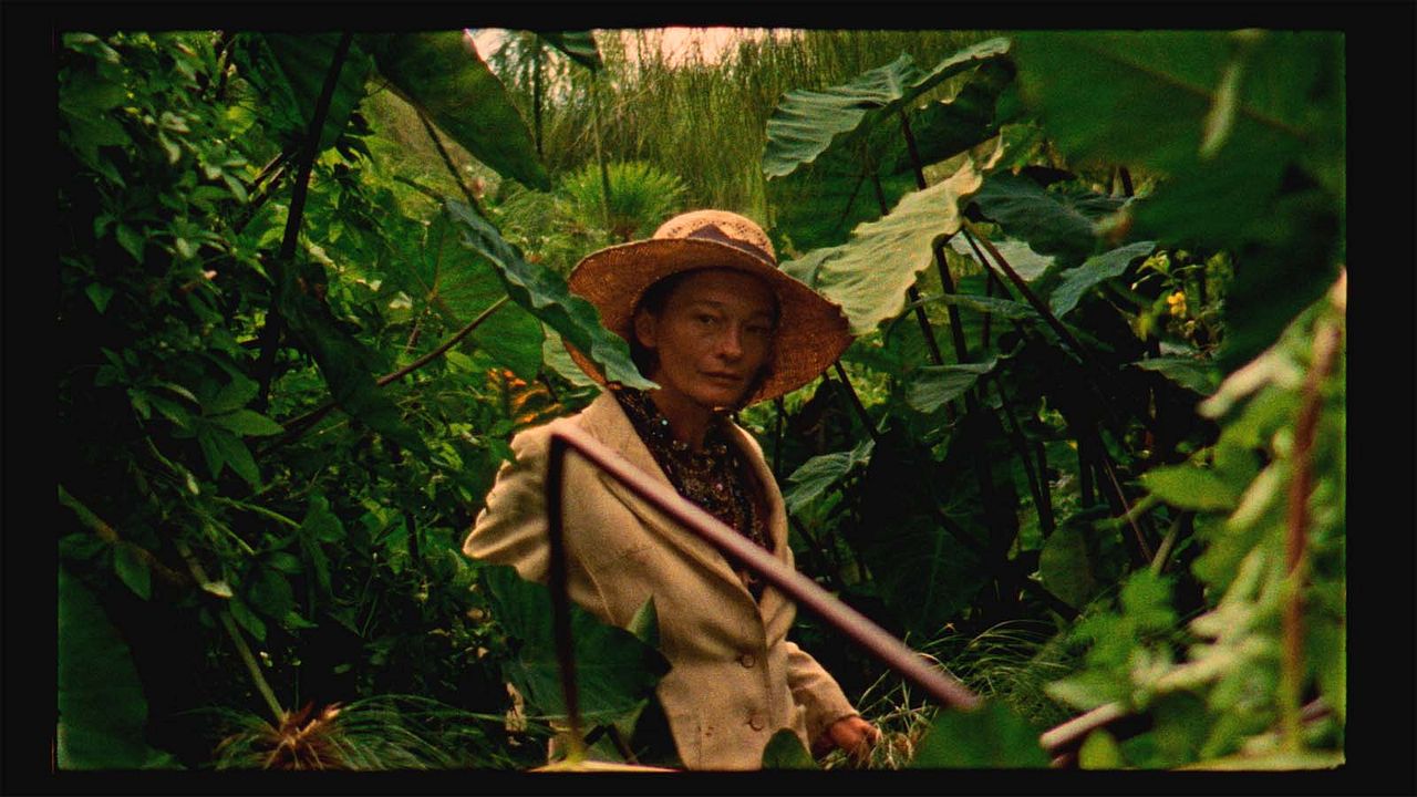 Les Garçons sauvages : Fotoğraf Elina Löwensohn