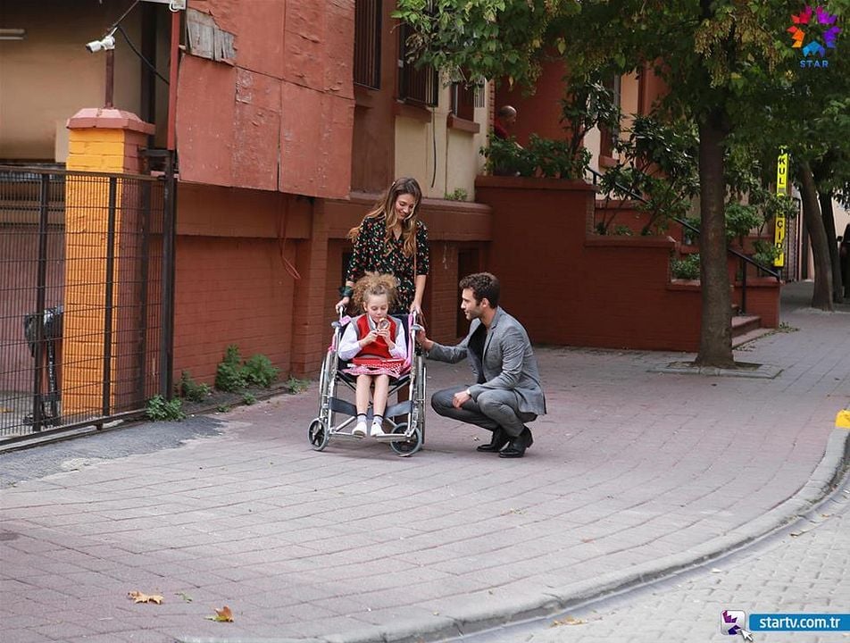 Ateşböceği : Fotoğraf