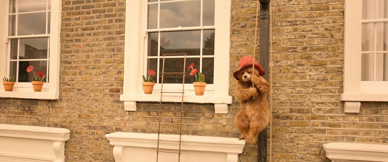 Ayı Paddington 2 : Fotoğraf