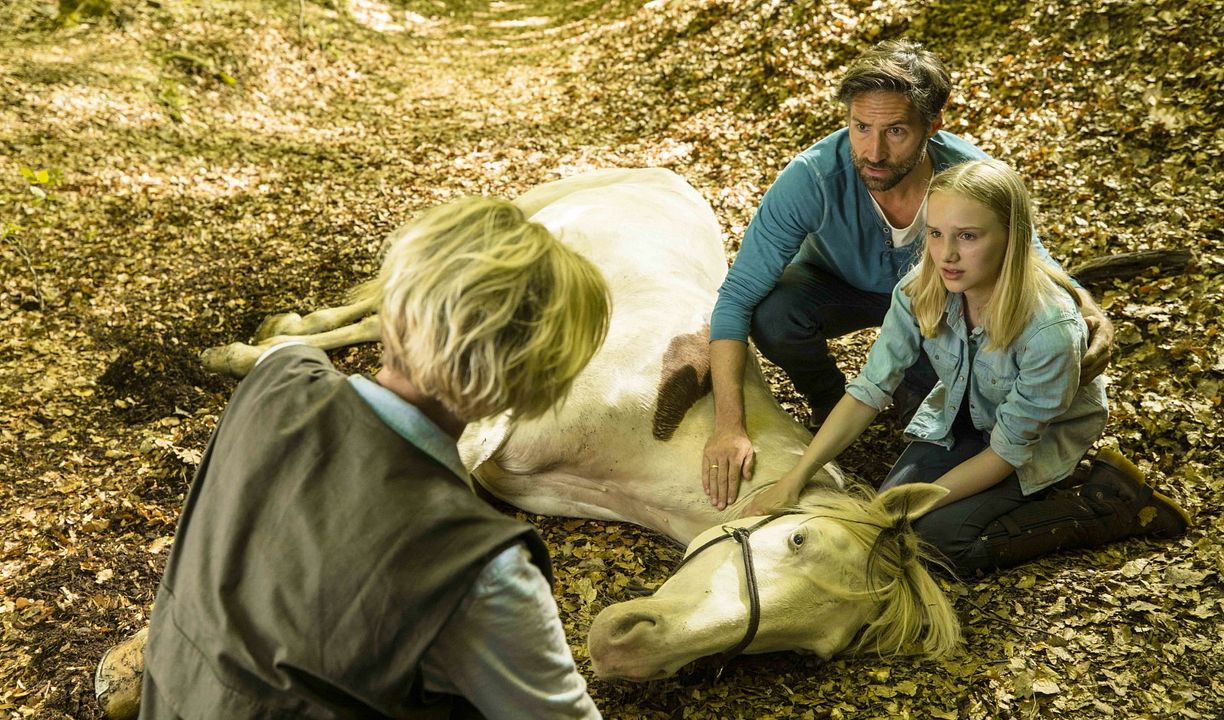 Fotoğraf Benjamin Sadler, Jule Hermann