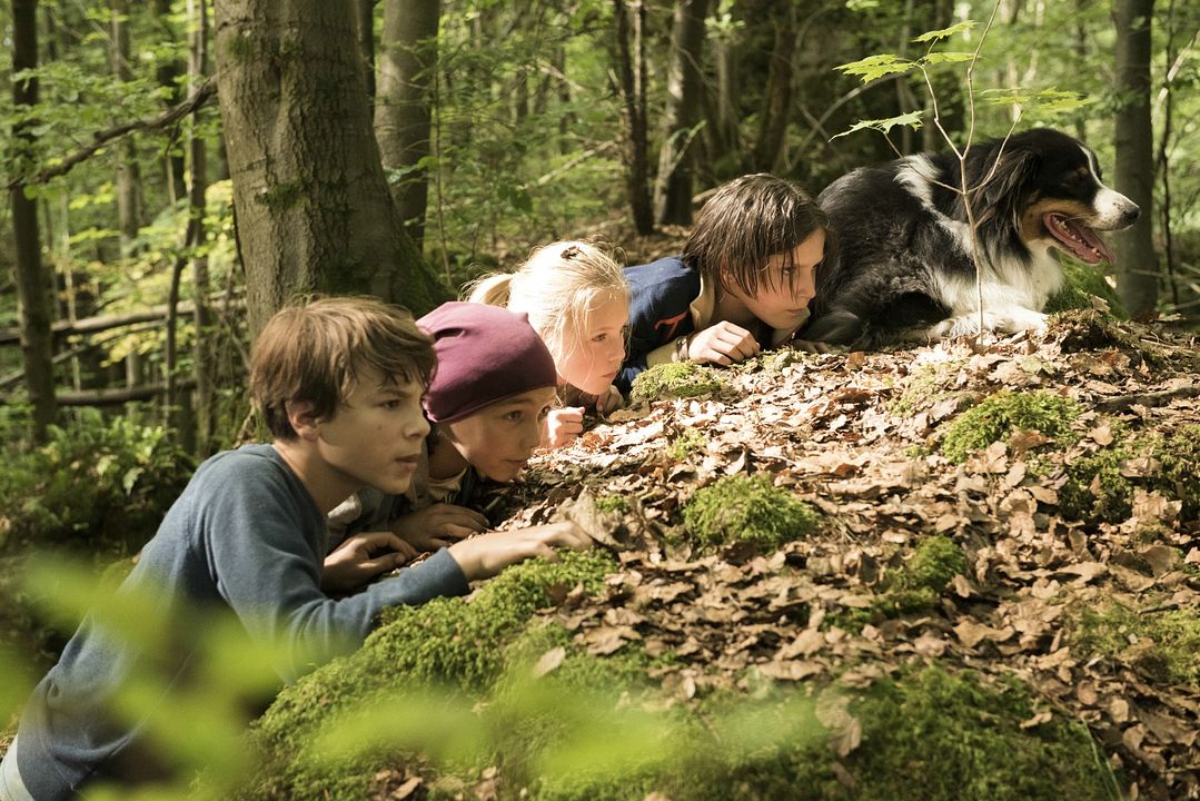 Fotoğraf Marinus Hohmann