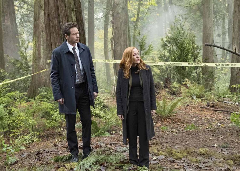 The X-Files : Fotoğraf Gillian Anderson, David Duchovny