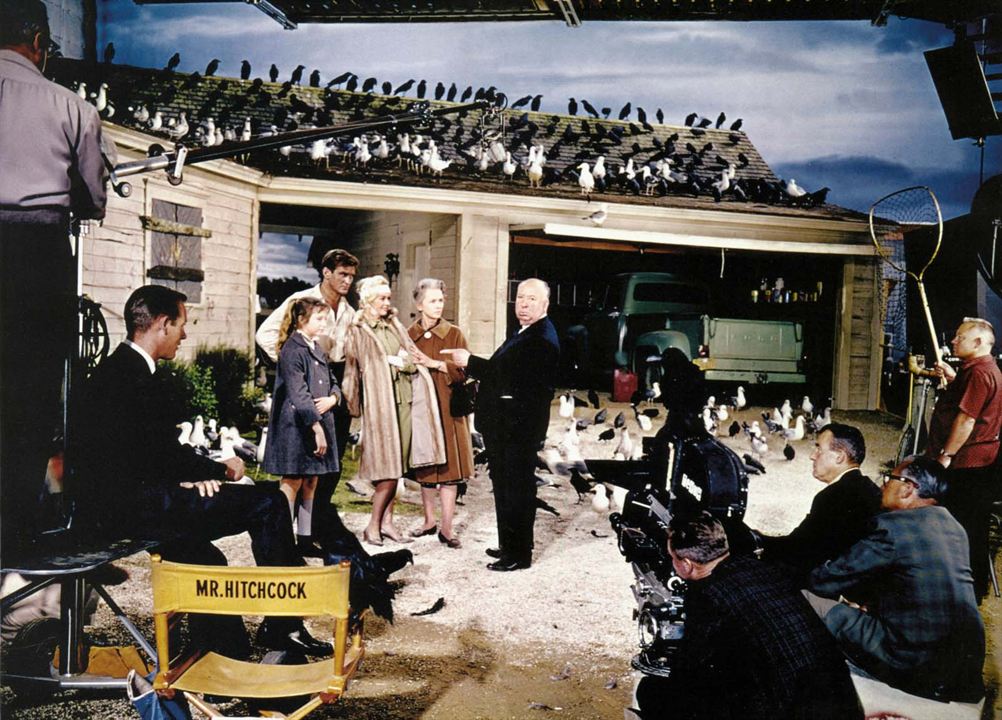 Kuşlar : Fotoğraf Alfred Hitchcock