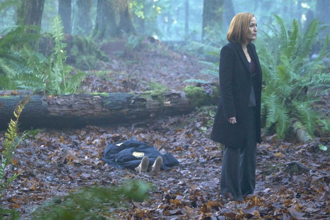 The X-Files : Fotoğraf Gillian Anderson