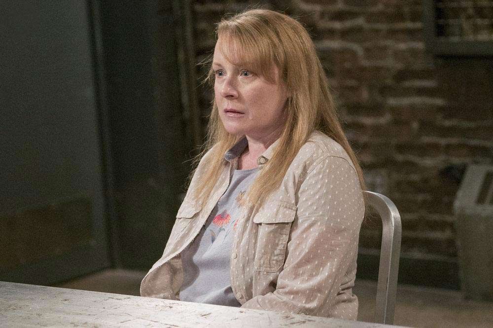 Law & Order: Special Victims Unit : Fotoğraf