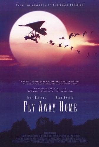 Fly Away Home : Afiş