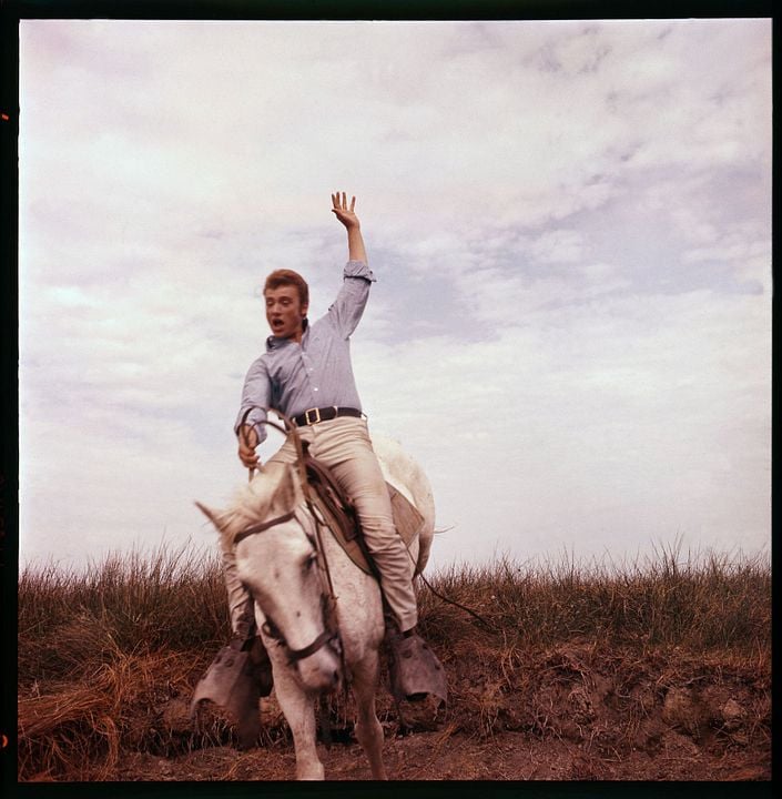 Fotoğraf Johnny Hallyday