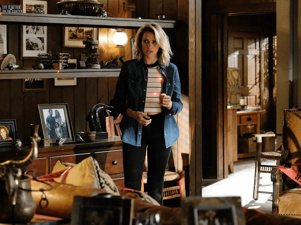 Fotoğraf Shantel VanSanten