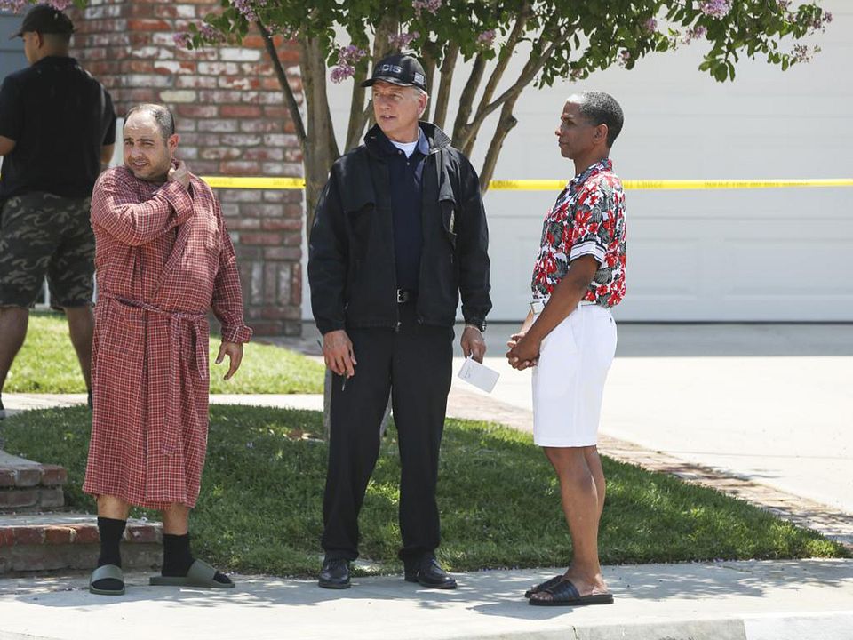 Fotoğraf Mark Harmon