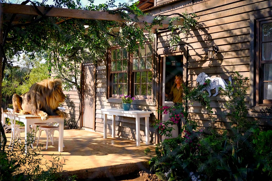 Vahşi Dostum : Fotoğraf Mélanie Laurent