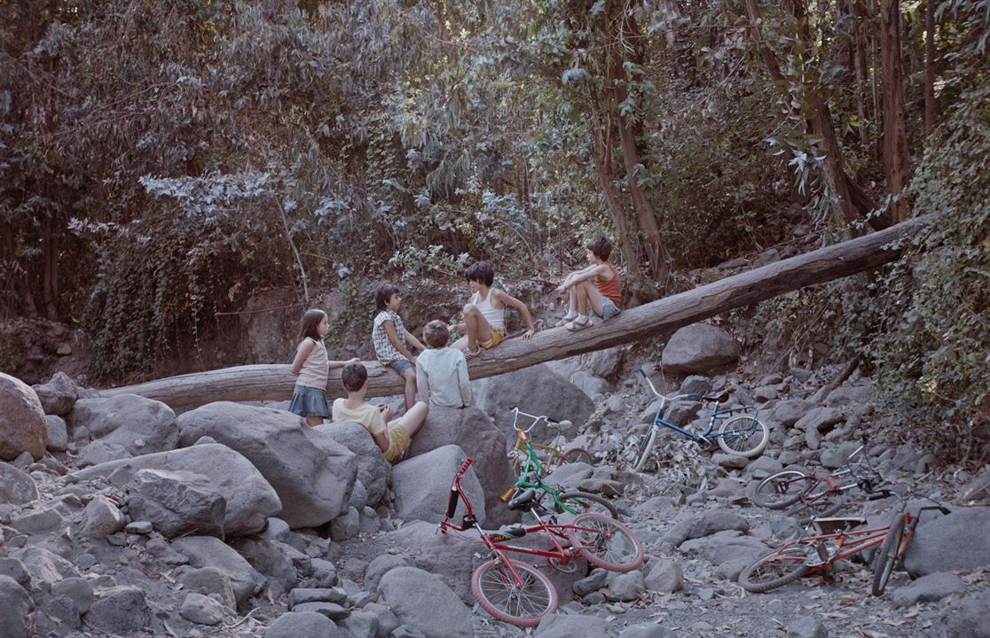 Tarde Para Morir Joven : Fotoğraf