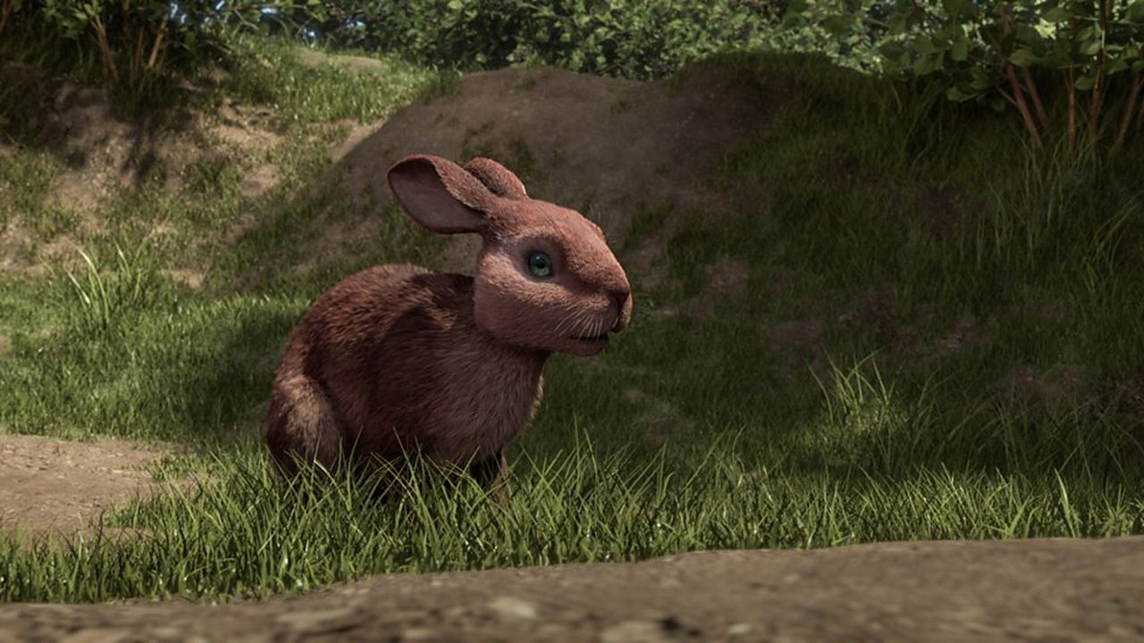 Watership Down : Fotoğraf