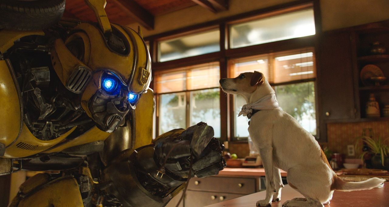 Bumblebee : Fotoğraf