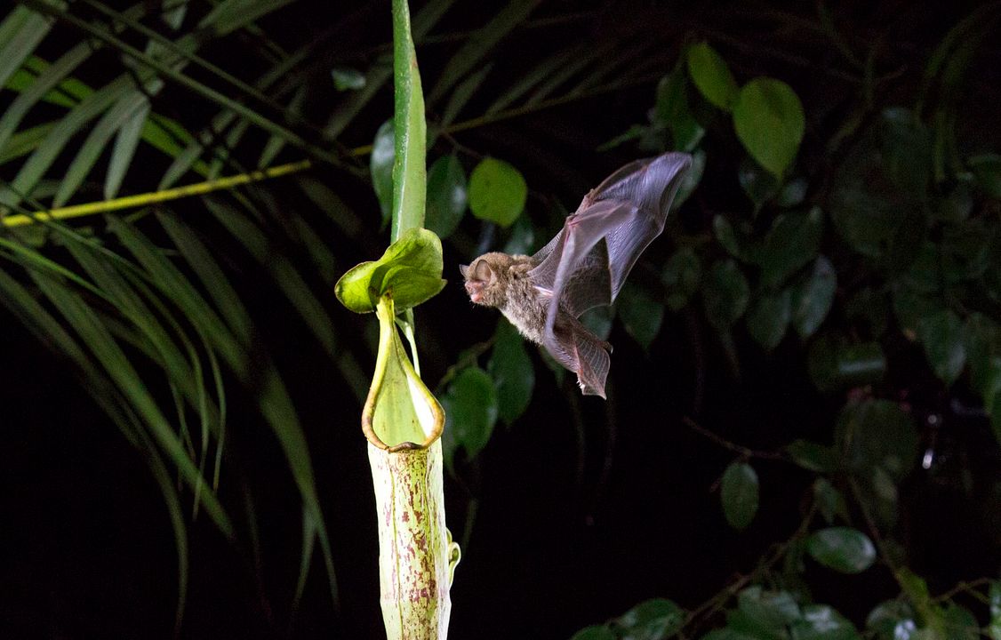 Gezegenimiz : Fotoğraf