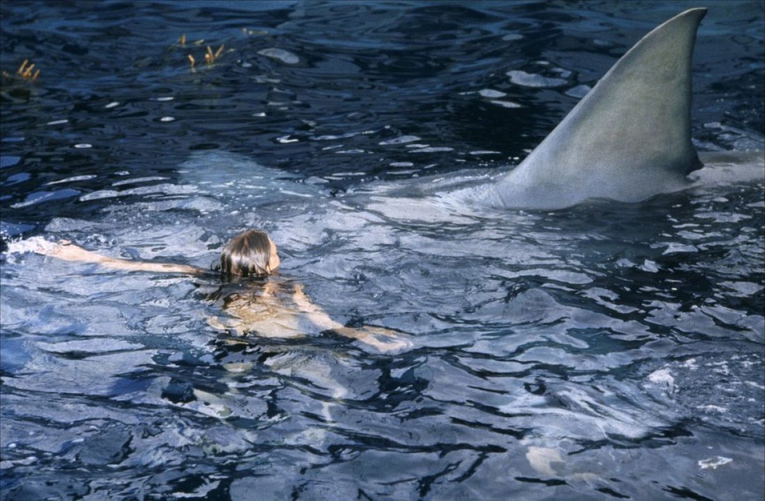 Jaws : Fotoğraf