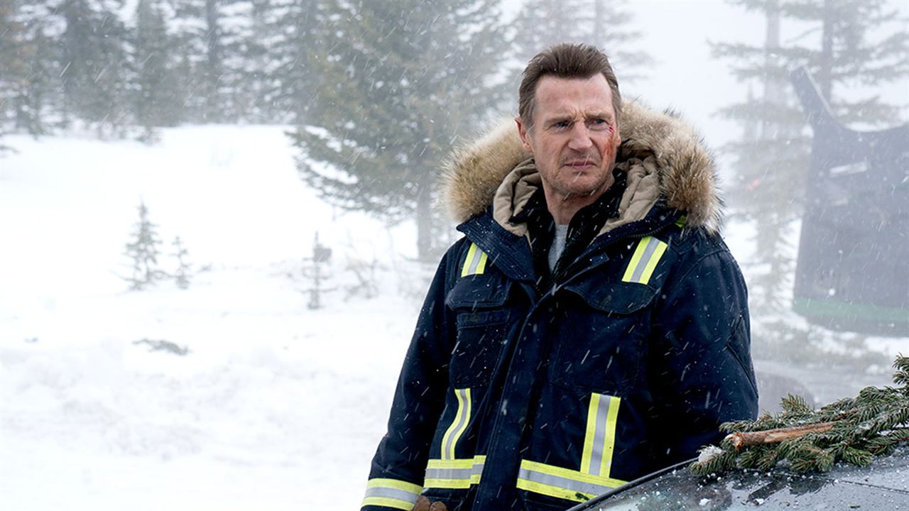 Soğuk İntikam : Fotoğraf Liam Neeson