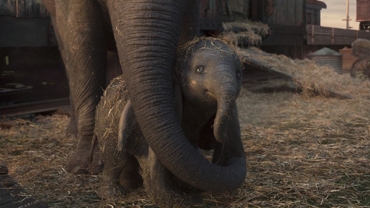 Dumbo : Fotoğraf