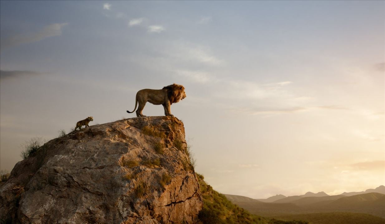 Aslan Kral : Fotoğraf