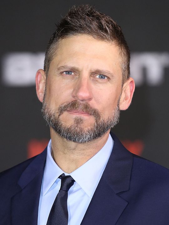 Afiş David Ayer