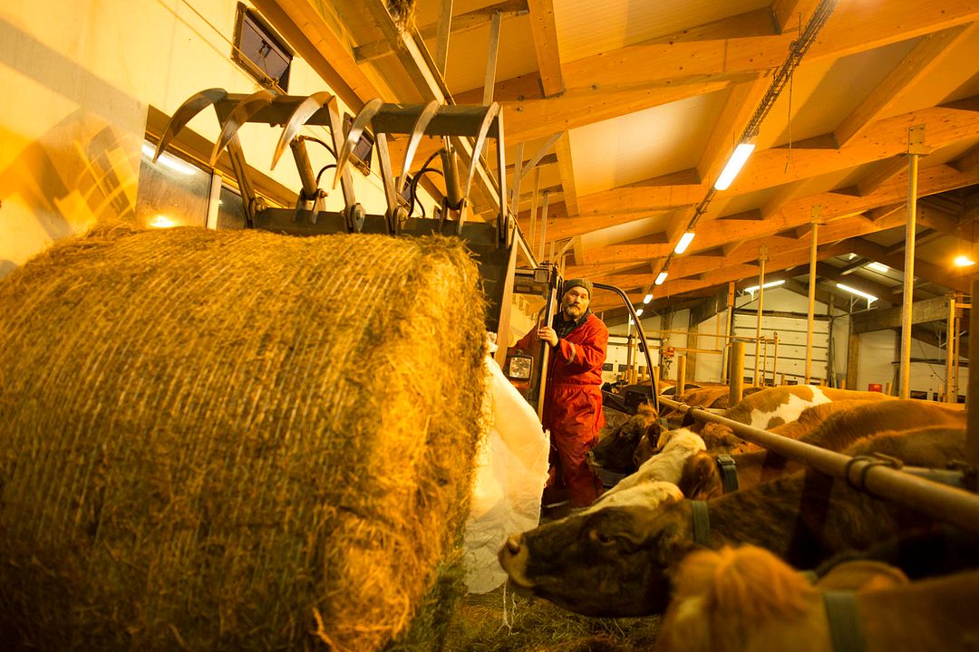 Fotoğraf Arndís Hrönn Egilsdóttir