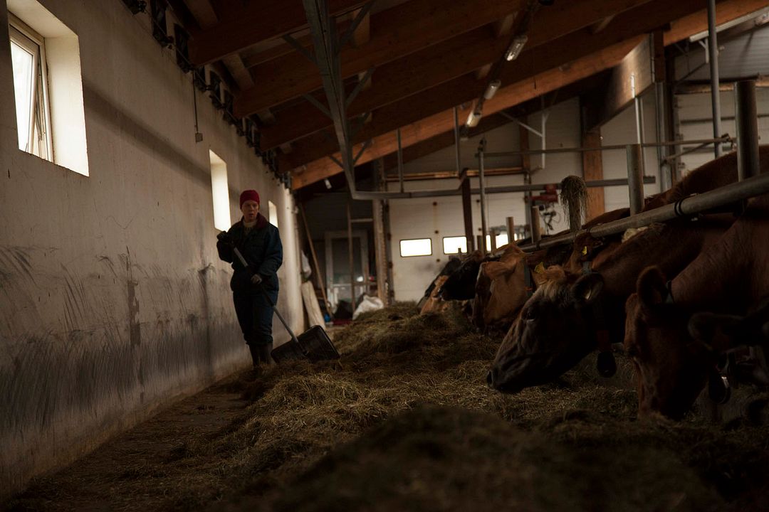 Fotoğraf Arndís Hrönn Egilsdóttir