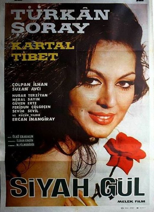 Siyah Gül : Afiş