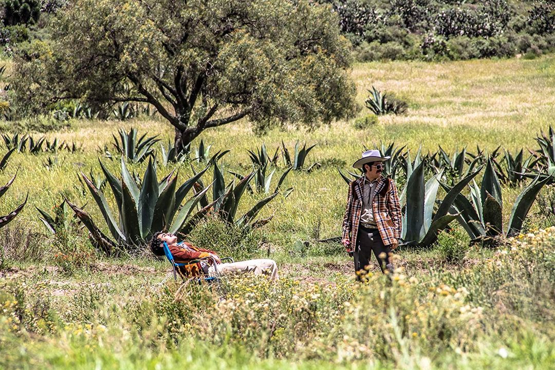 Me gusta, pero me asusta : Fotoğraf