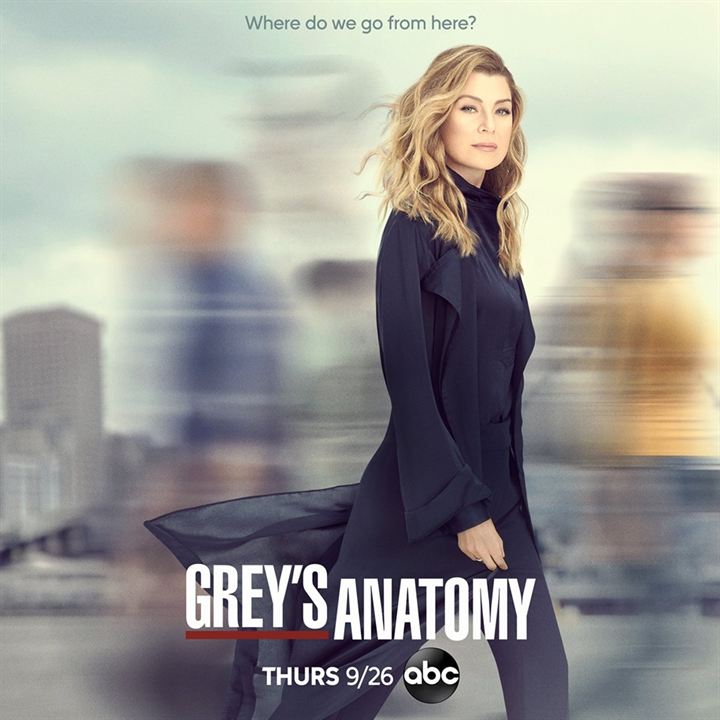 Grey's Anatomy : Afiş