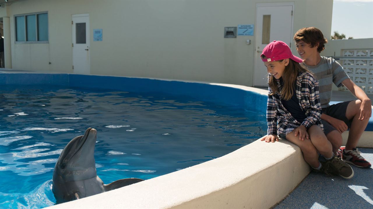 Bernie The Dolphin : Fotoğraf Lola Sultan